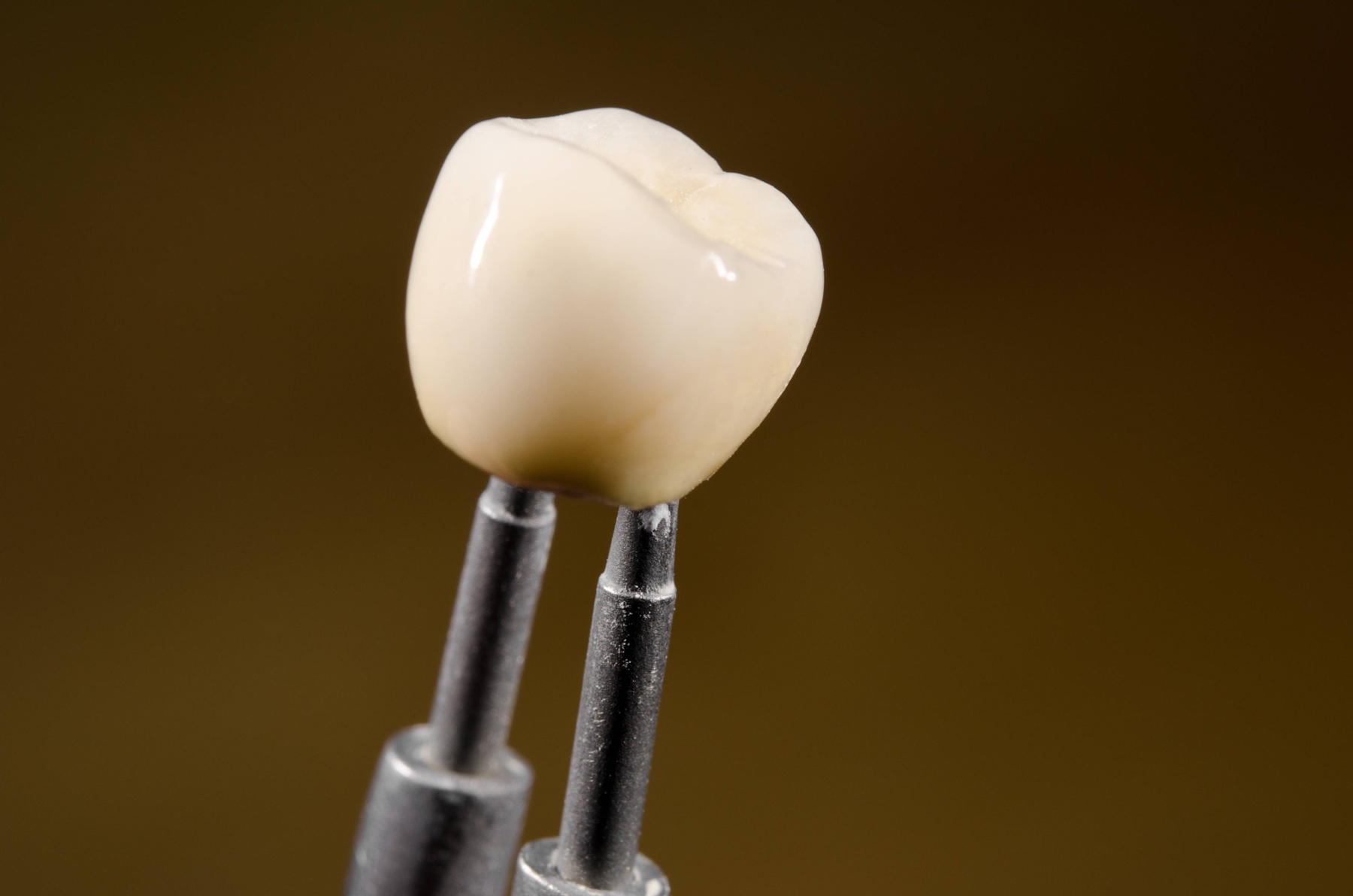single white dental crown being held up by a dental tool